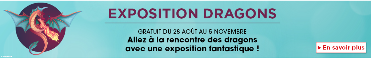 expo gratuit enfant dragons