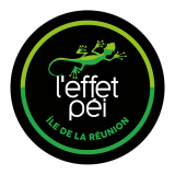 L'EFFET PEI 